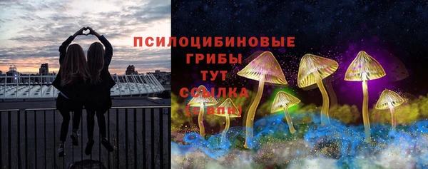 твердый Алексеевка