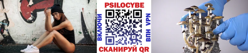 где купить наркоту Волгодонск Галлюциногенные грибы прущие грибы