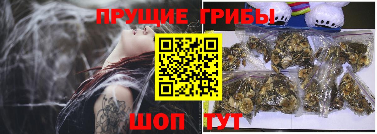 Галлюциногенные грибы Cubensis Волгодонск